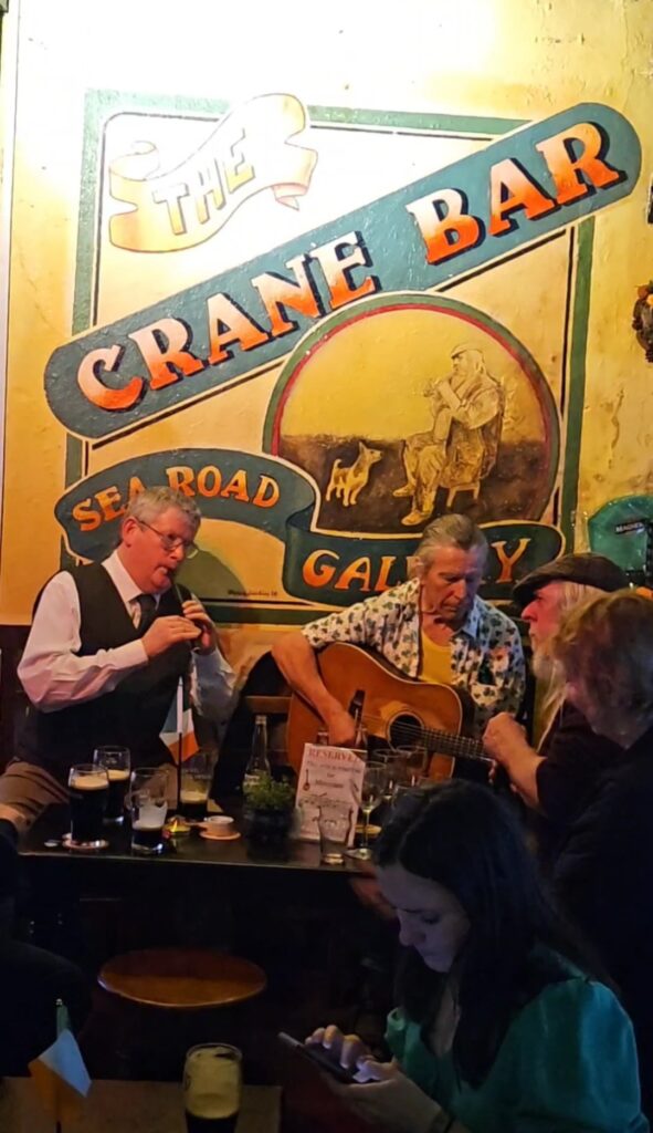 Traditional Irish music at The Crane Bar