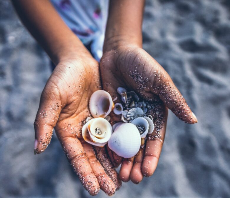 Close up of hands holding seashells on the beach