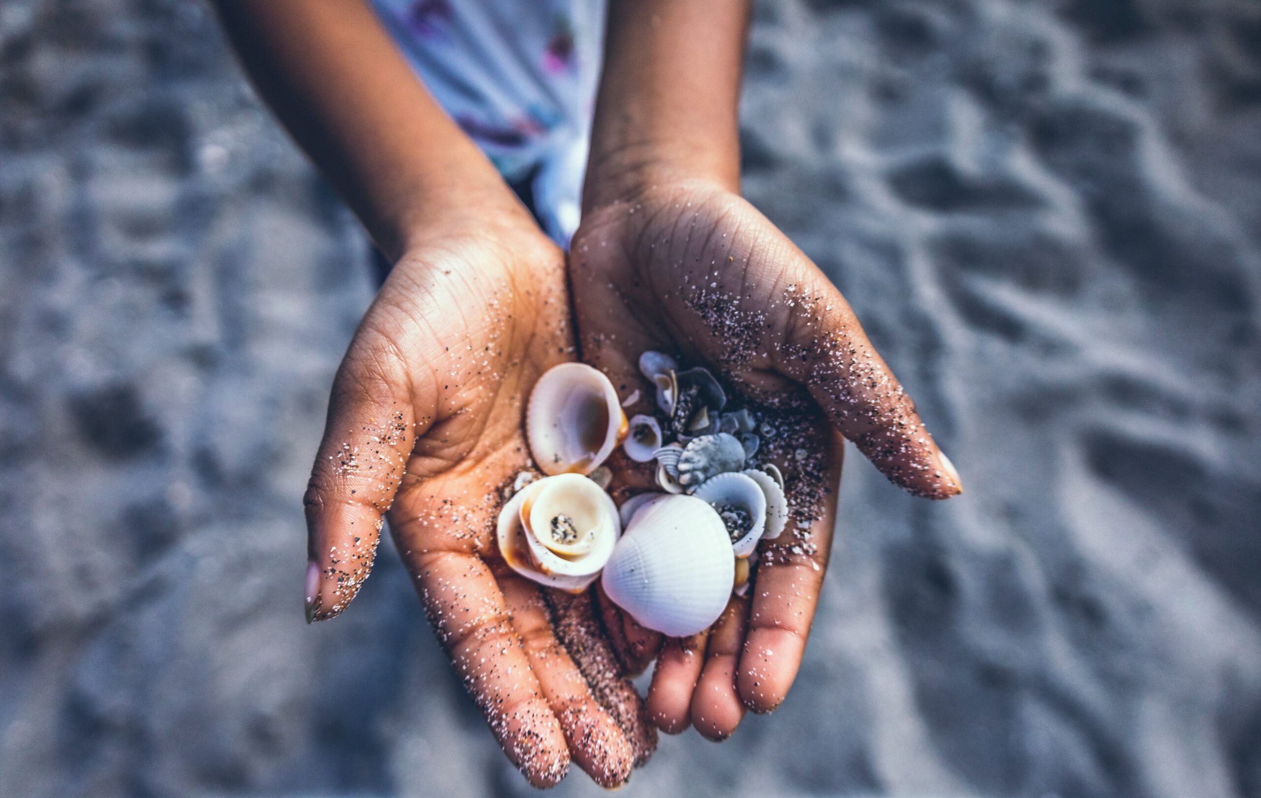 Close up of hands holding seashells on the beach