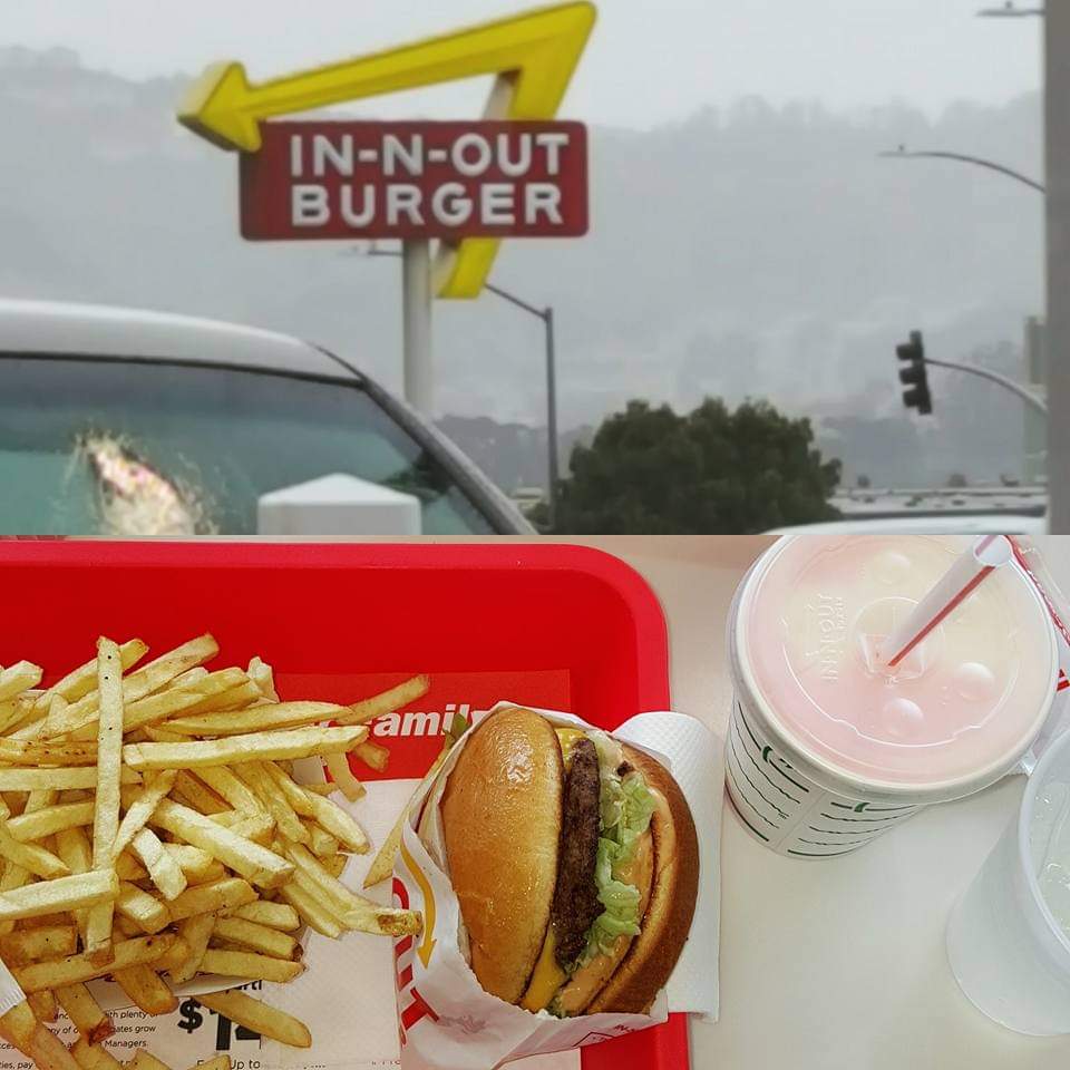 In-N-Out Burger meal during a San Francisco trip