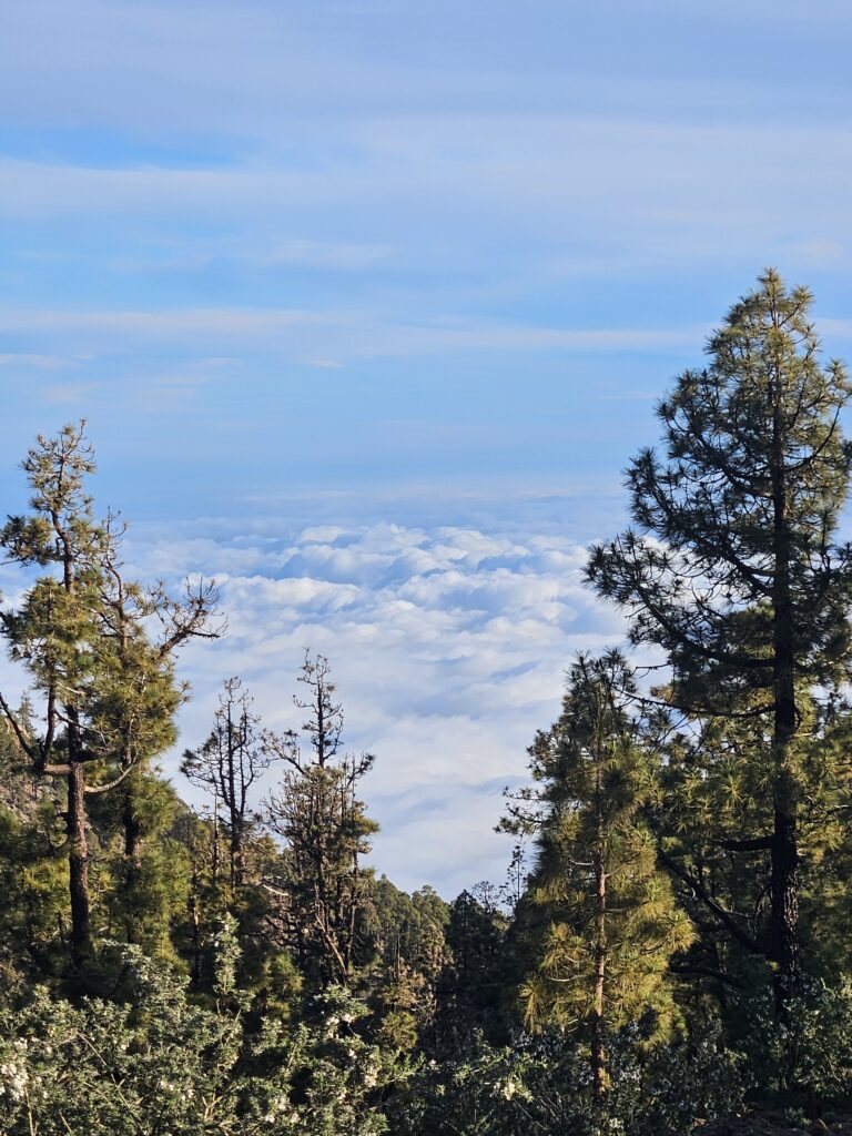 A view above the clouds on the way to Mount Teide