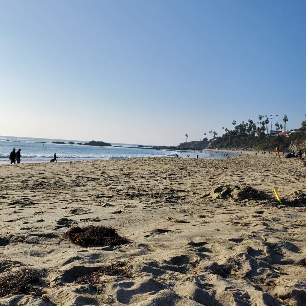 A view of Santa Monica Beach in Los Angeles